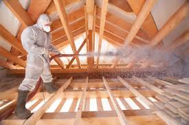 Best Insulation Removal  in Brookston, IN